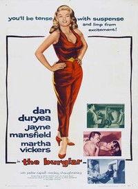 义盗娇娃,侠骨柔情，智斗邪恶的传奇女侠