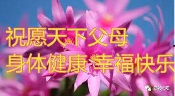 我的父亲天下第一好,揭秘我父亲天下第一好的传奇人生